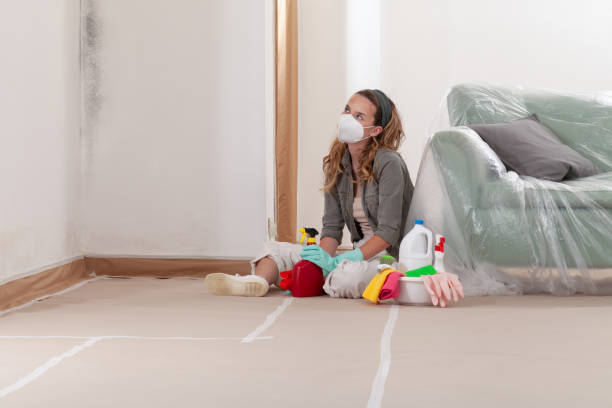Reliable Black Mold Removal contractor in Sabillasville, MD by WQB Mold Removal
